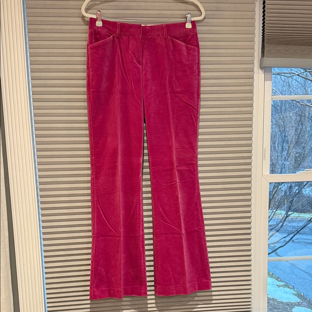 Express Pink Corduroy Pants